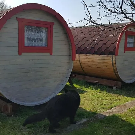 Camp-wroc *